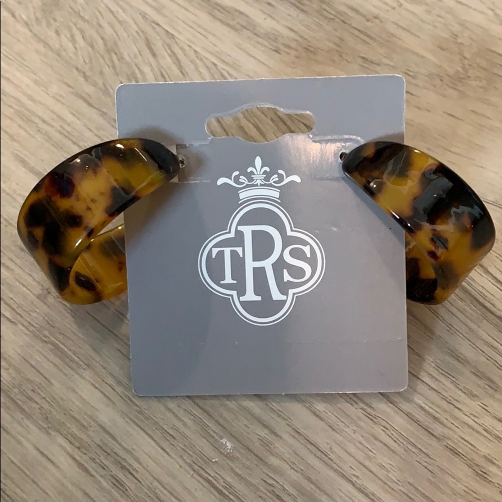 Acrylic Hoop Earrings